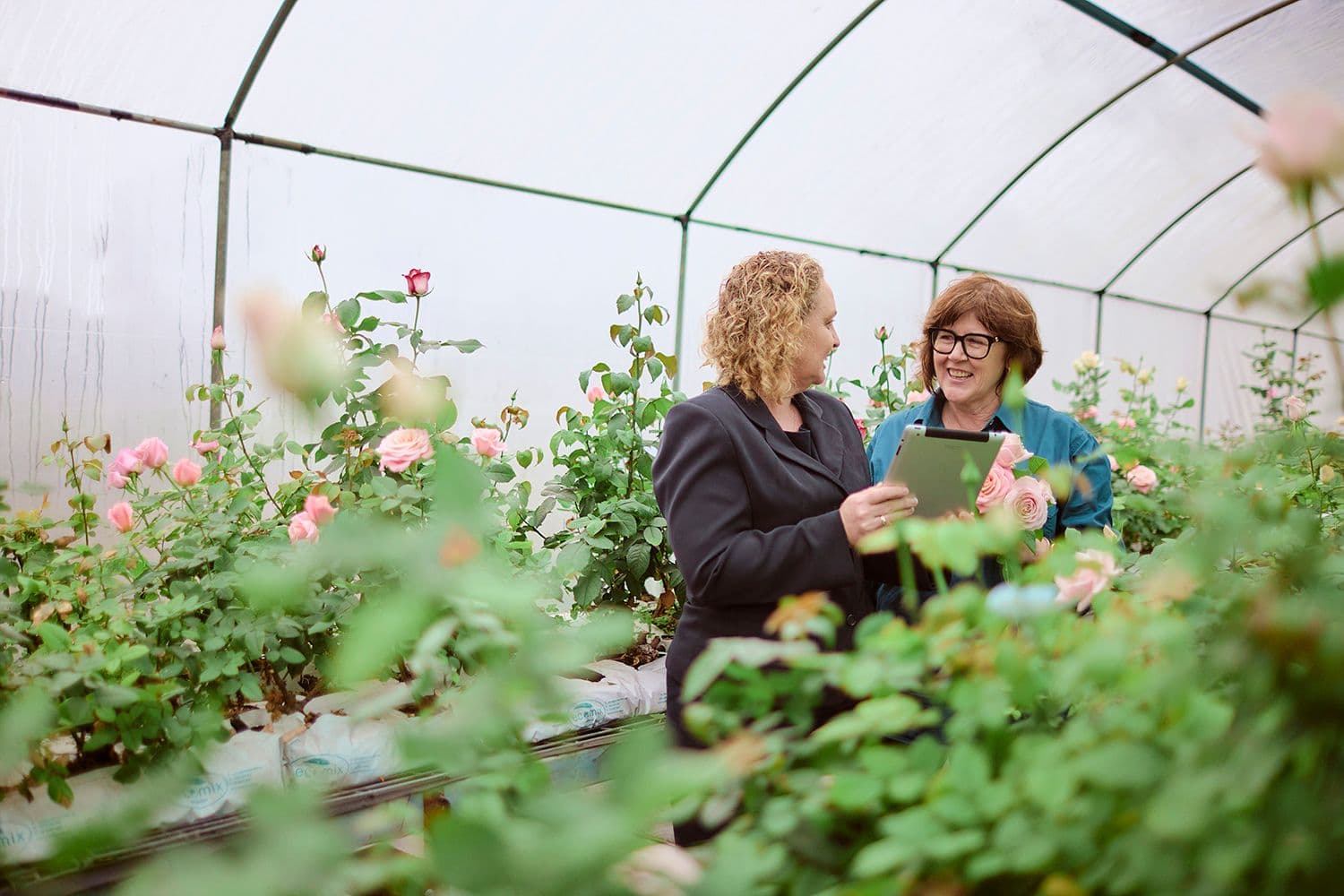 Business Loans - Coastline Bank lender